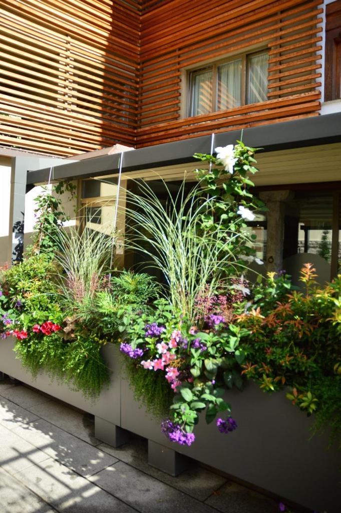 Locanda Blum In Rovetta Extérieur photo
